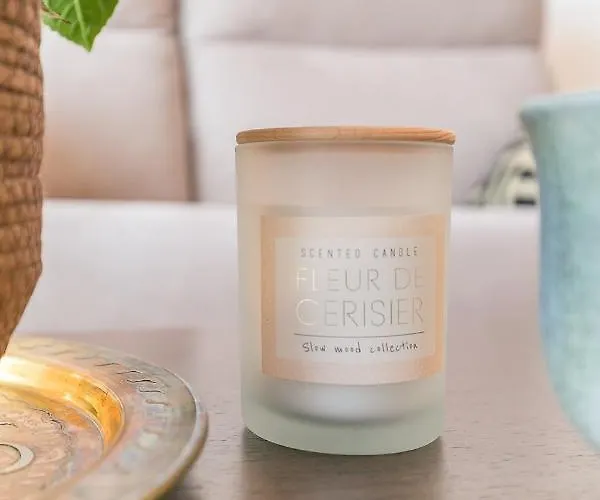 Climatise 7mn Centre 95m2 4 Adultes Bebe Garage Sous Sol Arrivee Autonome Daire